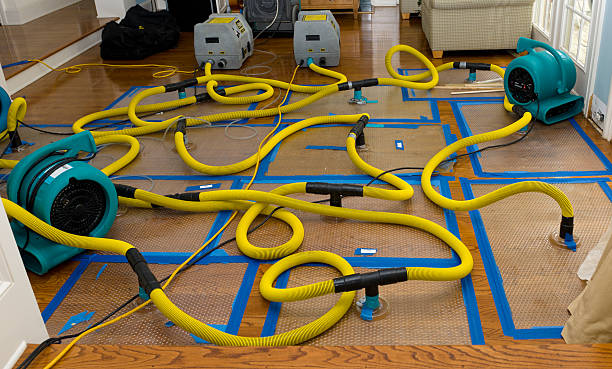 Professional Flood Damage Restoration technician working in Scotts Mills, OR